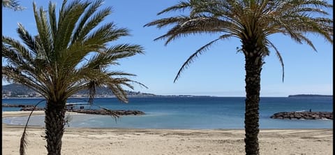 Beach nearby, sun loungers