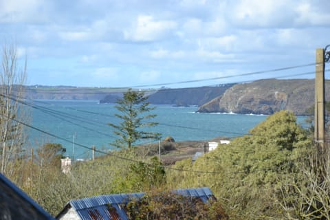 Beach/ocean view