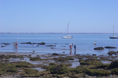 Beach nearby, sun loungers