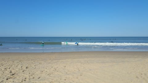 Beach nearby, sun loungers