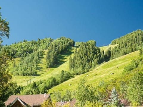 proximity to Aspen mountain