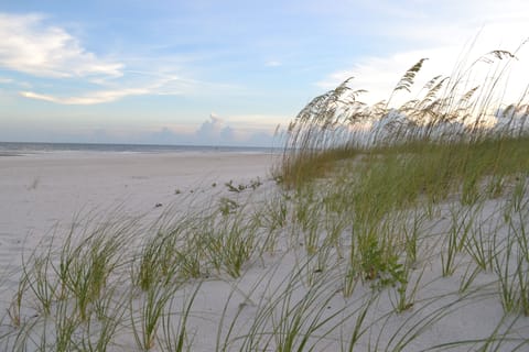 Beach nearby, sun loungers, beach towels