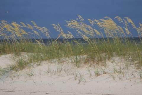 Beach nearby, sun loungers, beach towels