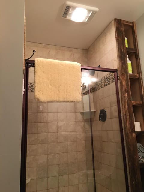 Combined shower/tub, hair dryer, towels, soap