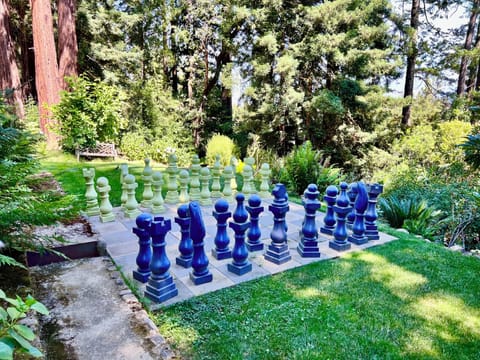 giant chess game