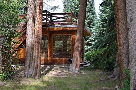 Cabin nestled in the trees.  Gorgeous!  Great windows, great views!!