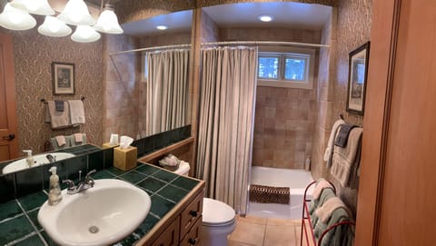 Combined shower/tub, hair dryer, towels, soap