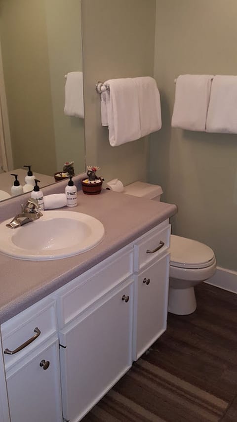 Sparkling clean bathroom with hair dryer, ceiling fan/heater, etc.