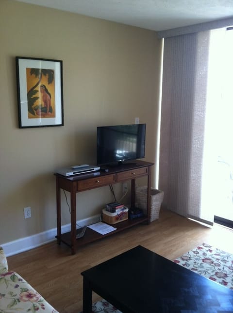 Smart TV, DVD player, books, stereo