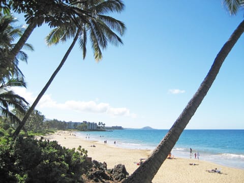 Beach nearby, sun loungers, beach towels