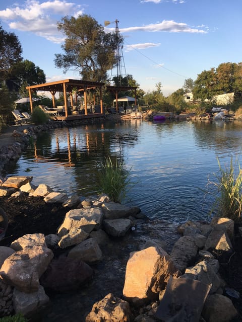 All natural, European swimming pool!