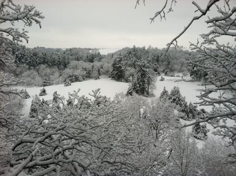 Winter scene from the rock overlook