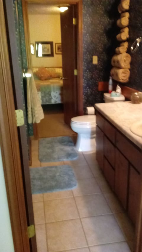 Combined shower/tub, hair dryer, towels, soap