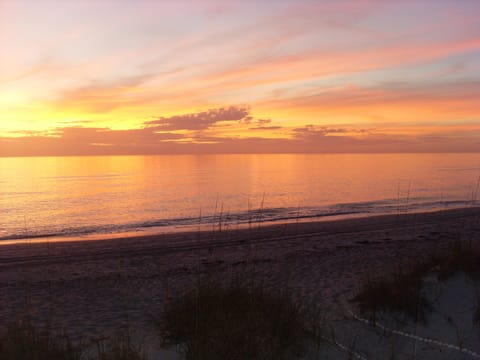 On the beach, sun loungers, beach towels