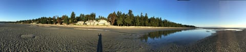 Beach nearby, sun loungers