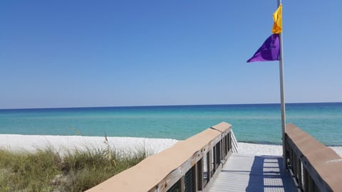 On the beach, sun loungers, beach towels