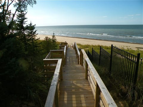 Sun loungers, beach towels