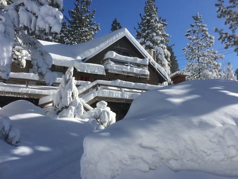 Winter 2017
Snowmageddon!