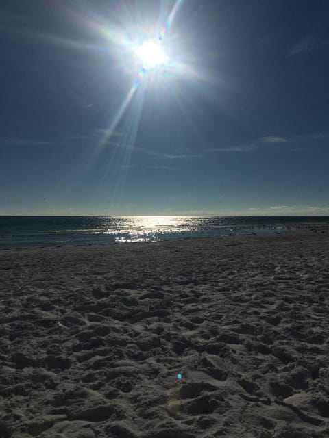 Sun loungers, beach towels