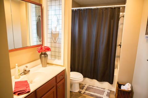 Combined shower/tub, hair dryer, towels, toilet paper