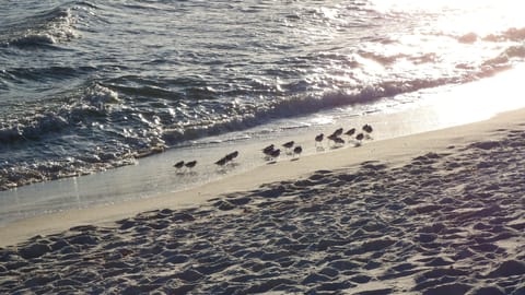 On the beach