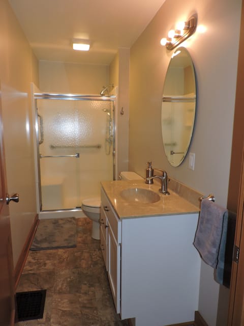 Combined shower/tub, hair dryer, towels