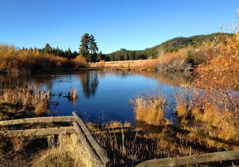 Kahle Park: Bike, Hike, Pup Friendly, One Mile Walk To Nevada Beach