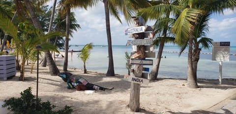 On the beach, sun loungers, beach towels