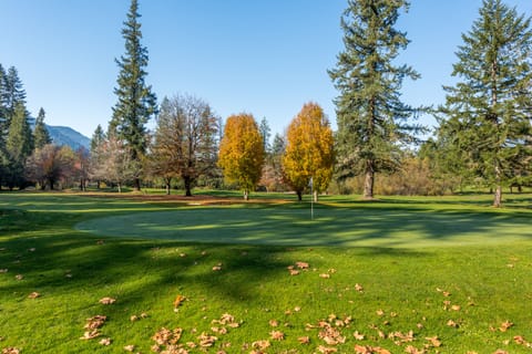View from deck, which is the 2nd green of the Pine Cone Golf Course.