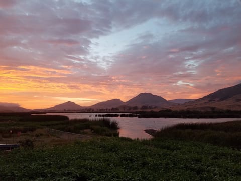 At the end of the day, There is no other place I would rather come home to.