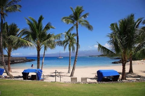 Sun loungers, beach towels