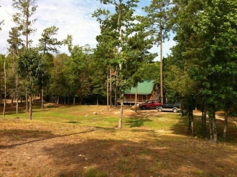 View of the cabin from the top of the property
