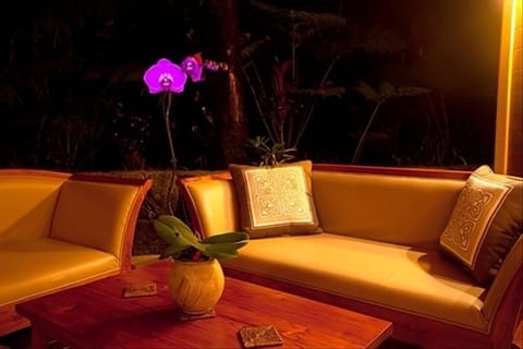 Glowing Orchids: Unique and memorable experiences await you in Volcano