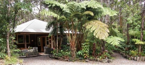 The Mist Cottage is nestled in the 
Forest Preserve at Volcanoes National Park