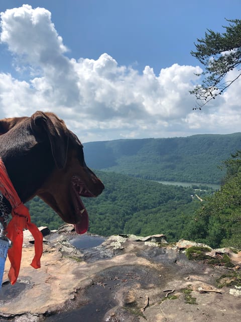 A favorite area overlook-Lawson Rock, Cumberland Trail, 20 min drive from house