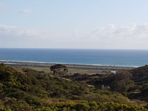 View of the beach and ocean from the street.