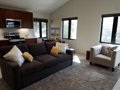 Full size sofa with pull out bed and comfy chair in living room