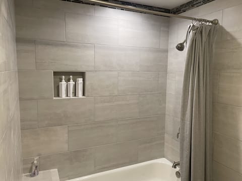 Combined shower/tub, hair dryer, towels, soap