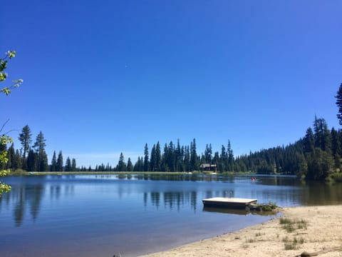 There's a swimming platform; down the path to the right, a fearsome rope swing