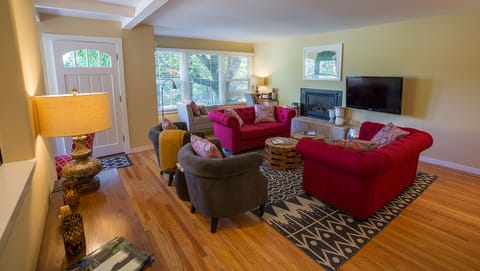 TV, fireplace, books