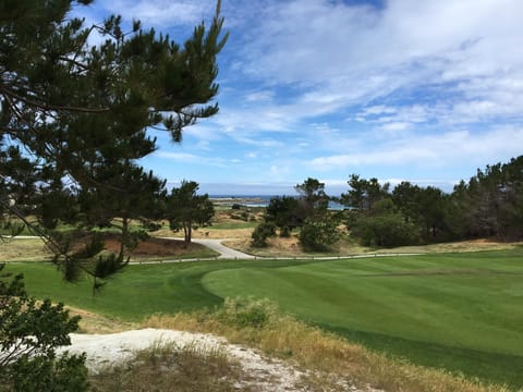 View from The Forest Trail
