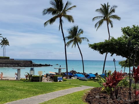 Sun loungers, beach towels