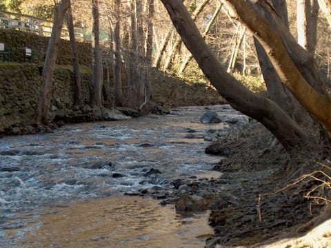 Walk down to the to bridge over looking creek on your way to the Village Market