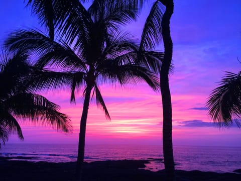 On the beach, sun loungers, beach towels