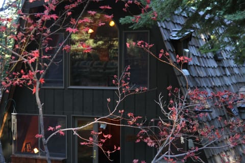 Gorgeous in every season...