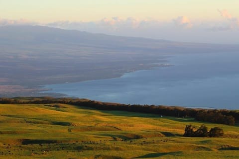 View of the Kohala Coastline.