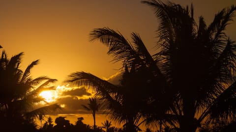 Hawaii has the best sunsets!