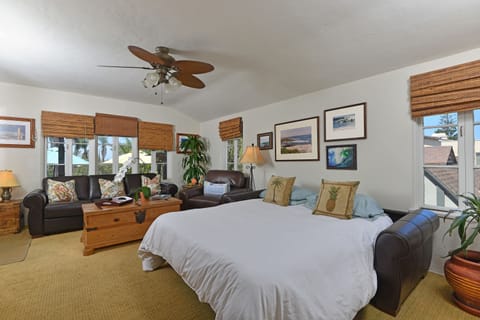 Living room with queen size sofa bed pulled out. European style for more comfort