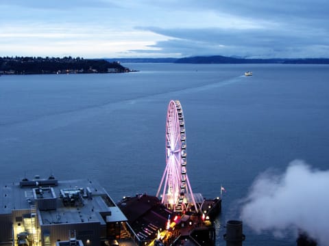 A gorgeous Seattle evening - view from your apartment!