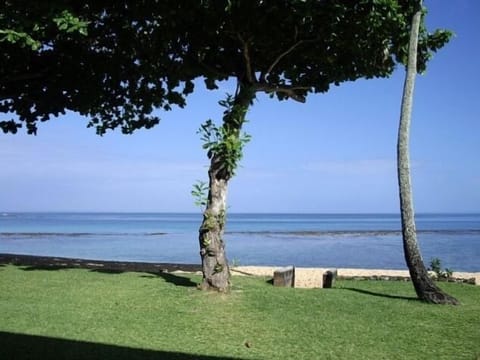 On the beach, sun loungers, beach towels